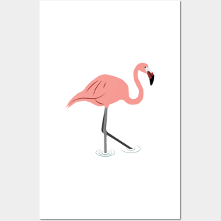 Flamingos Posters and Art